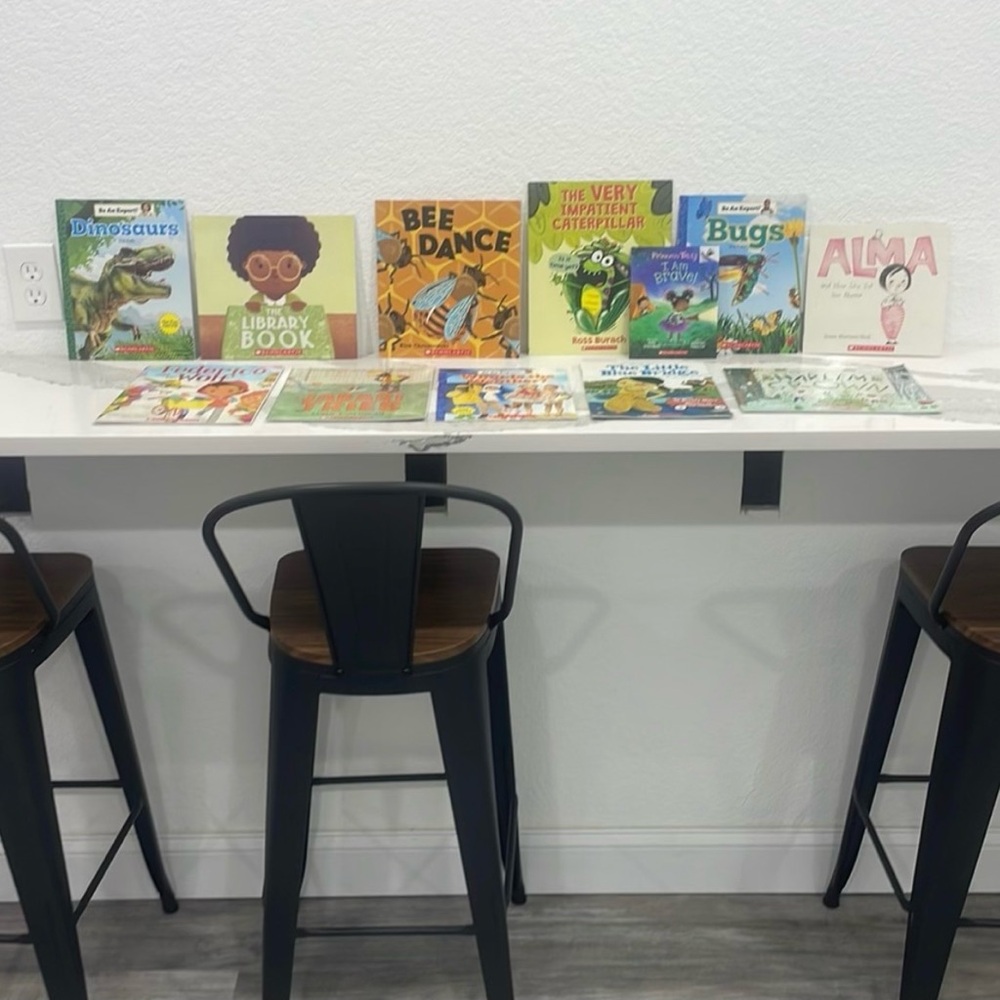 Scholastic Book Bundle